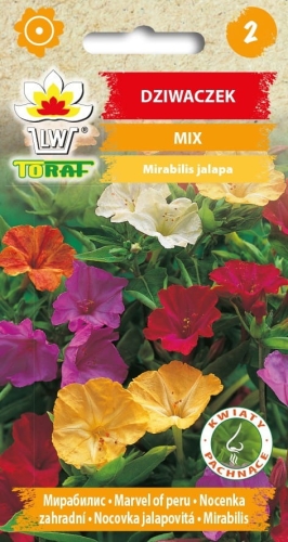 dziwaczek-nasiona-kwiatow-2g.jpg