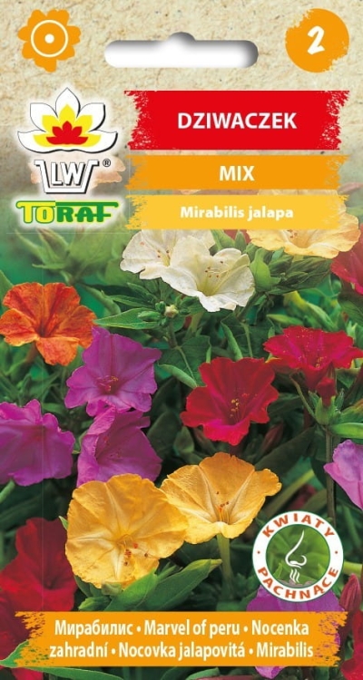 dziwaczek-nasiona-kwiatow-2g.jpg
