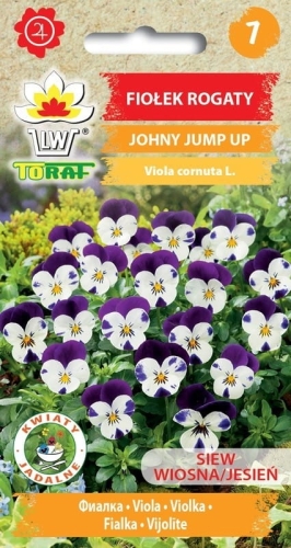 fiolek-rogaty-johny-jump-up-nasiona-kwiatow.jpg