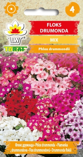 floks-drumonda-mieszanka-nasiona-kwiatow.jpg