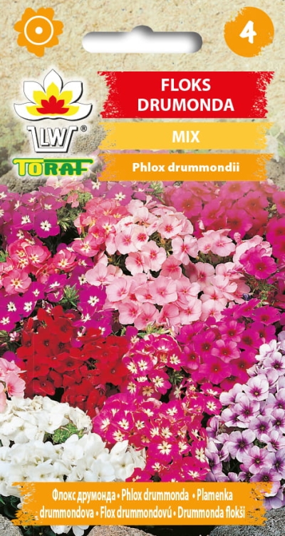 floks-drumonda-mieszanka-nasiona-kwiatow.jpg