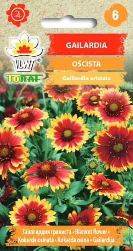 gailardia-oscista-nasiona-kwiatow.jpg
