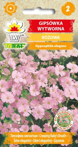 gipsowka-wytworna-rozowa-nasiona-kwiatow.jpg