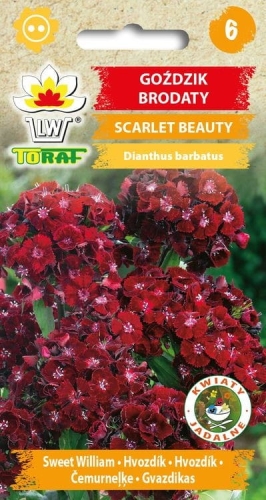 gozdzik-brodaty-scarlet-beauty-nasiona-kwiatow.jpg