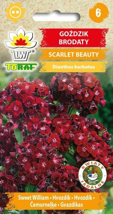 gozdzik-brodaty-scarlet-beauty-nasiona-kwiatow.jpg