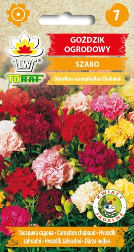 gozdzik-ogrodowy-szabo-nasiona-kwiatow.jpg