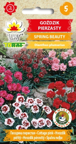gozdzik-pierzasty-spring-beauty-nasiona-kwiatow.jpg
