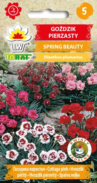 gozdzik-pierzasty-spring-beauty-nasiona-kwiatow.jpg