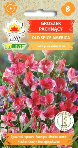 groszek-pachnacy-old-spice-america-nasiona-kwiatow.jpg