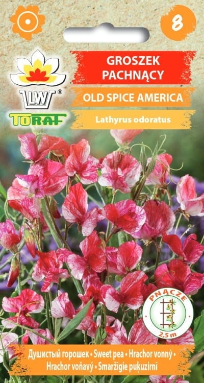 groszek-pachnacy-old-spice-america-nasiona-kwiatow.jpg