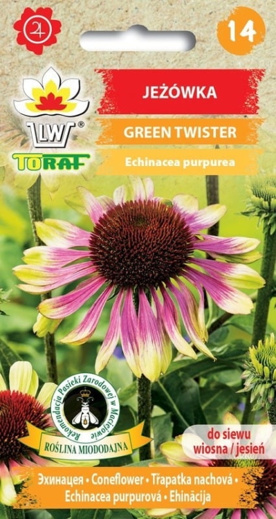 jezowka-green-twister-nasiona-kwiatow.jpg