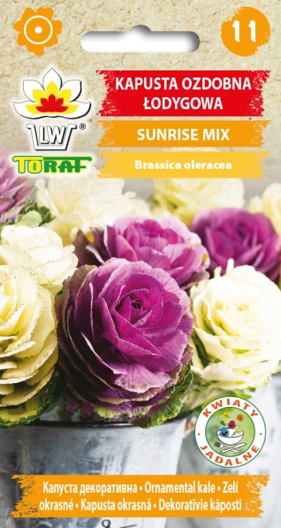 kapusta-ozdobna-sunrise-mieszanka-nasiona-kwiatow.jpg
