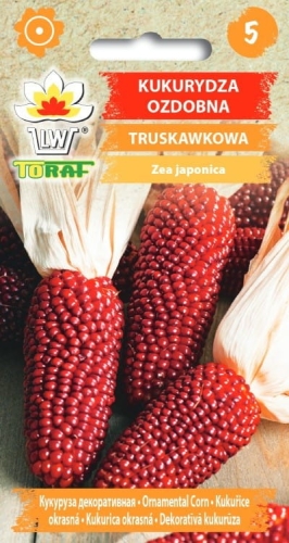 kukurydza-ozdobna-truskawkowa-nasiona-kwiatow.jpg