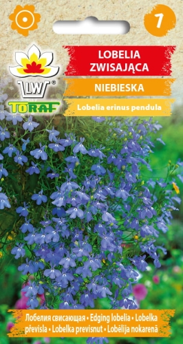 lobelia-zwisajaca-niebieska-nasiona-kwiatow.jpg