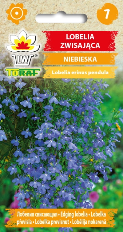 lobelia-zwisajaca-niebieska-nasiona-kwiatow.jpg