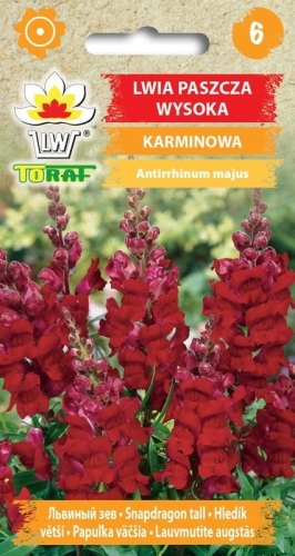 lwia-paszcza-wysoka-karminowa-nasiona-kwiatow.jpg