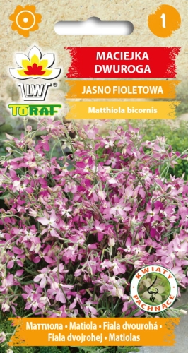 maciejka-dwuroga-nasiona-kwiatow.jpg