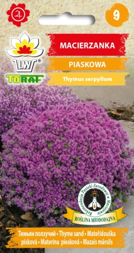 macierzanka-piaskowa-nasiona-kwiatow.jpg