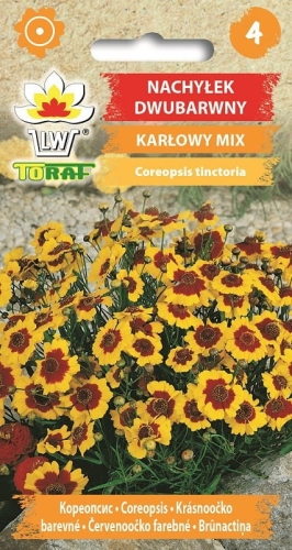 nachylek-dwubarwny-karlowy-mieszanka-nasiona-kwiatow.jpg