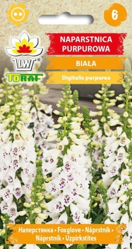 naparstnica-purpurowa-biala-nasiona-kwiatow.jpg