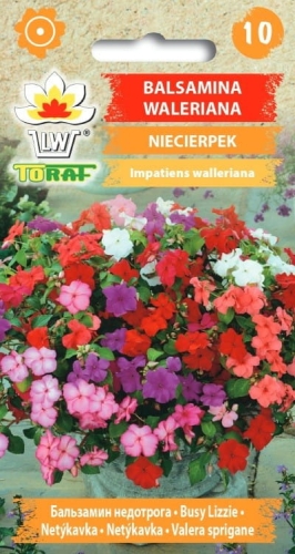 niecierpek-balsamina-waleriana-nasiona-kwiatow.jpg