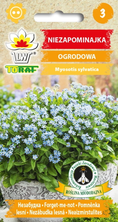 niezapominajka-ogrodowa-nasiona-kwiatow.jpg