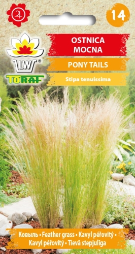 ostnica-mocna-pony-tails-trawa-ozdobna-nasiona.jpg