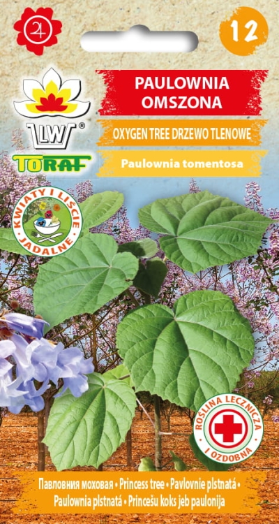 paulownia-omszona-drzewo-tlenowe-nasiona.jpg