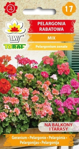 pelargonia-rabatowa-mieszanka-nasiona-kwiatow.jpg