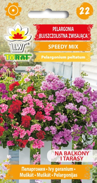 pelargonia-bluszczolistna-zwisajaca-speedy-nasiona-kwiatow.jpg