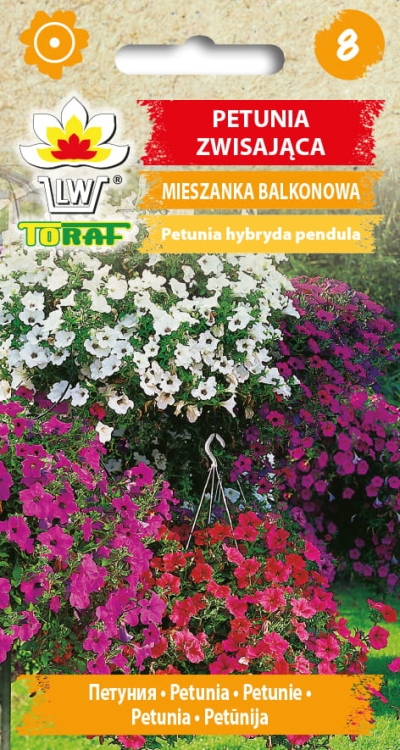 petunia-zwisajaca-mieszanka-nasiona-kwiatow.jpg