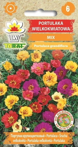 portulaka-wielkokwiatowa-mieszanka-nasiona-kwiatow.jpg