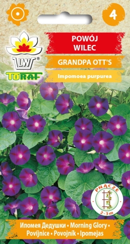 powoj-wilec-grandpa-otts-nasiona-kwiatow.jpg