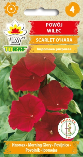 powoj-wilec-scarlet-o-hara-nasiona-kwiatow.jpg