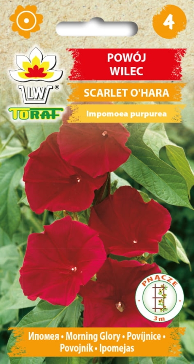 powoj-wilec-scarlet-o-hara-nasiona-kwiatow.jpg