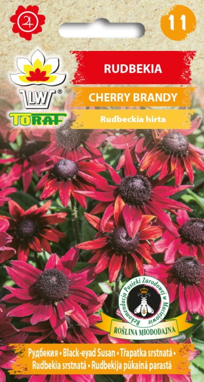 rudbekia-cherry-brandy-nasiona-kwiatow.jpg