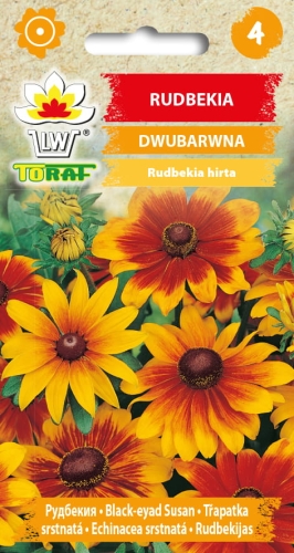 rudbekia-dwubarwna-nasiona-kwiatow.jpg