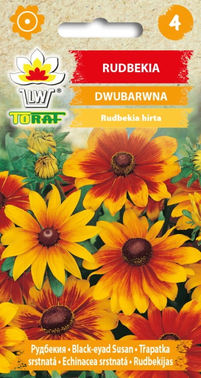 rudbekia-dwubarwna-nasiona-kwiatow.jpg