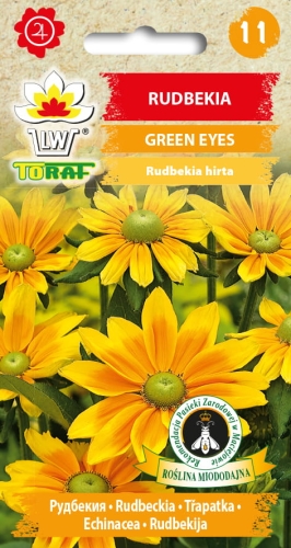 rudbekia-green-eyes-nasiona-kwiatow.jpg