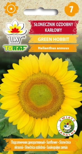 slonecznik-ozdobny-karlowy-green-hobbit-nasiona-kwiatow.jpg