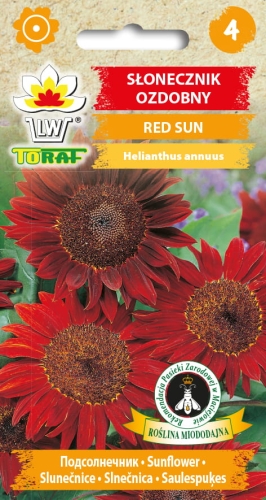 slonecznik-ozdobny-red-sun-nasiona-kwiatow.jpg