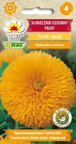 slonecznik-ozdobny-pelny-teddy-bear-nasiona.jpg