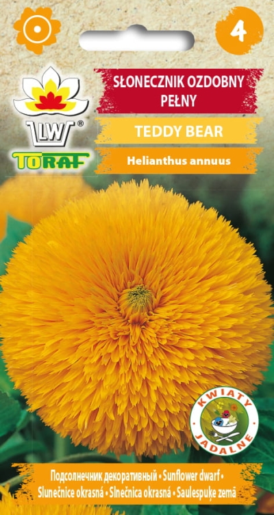slonecznik-ozdobny-pelny-teddy-bear-nasiona.jpg
