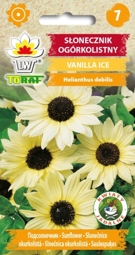 slonecznik-ozdobny-ogorkolistny-vanilla-ice-nasiona.jpg