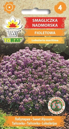 smagliczka-nadmorska-fioletowa-nasiona.jpg