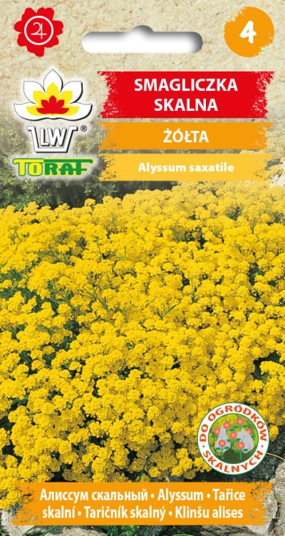 smagliczka-skalna-zolta-nasiona.jpg