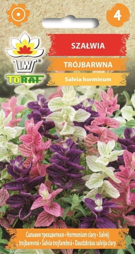 szalwia-trojbarwna-nasiona.jpg
