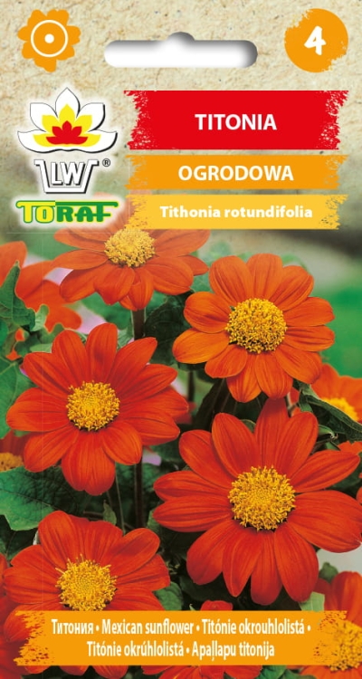 titonia-ogrodowa-nasiona.jpg