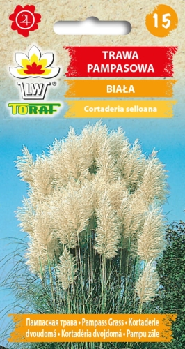 trawa-pampasowa-biala-nasiona.jpg