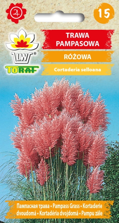 trawa-pampasowa-rozowa-nasiona.jpg